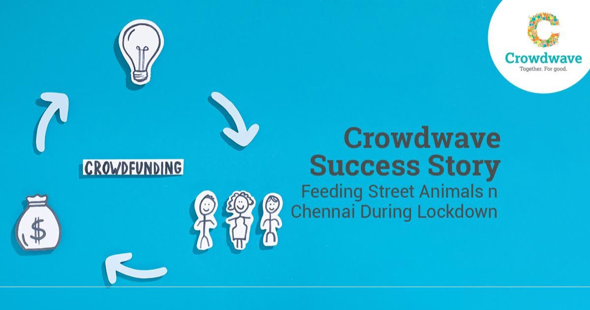 crowdwave success story feeding street animals in chennai during lockdown