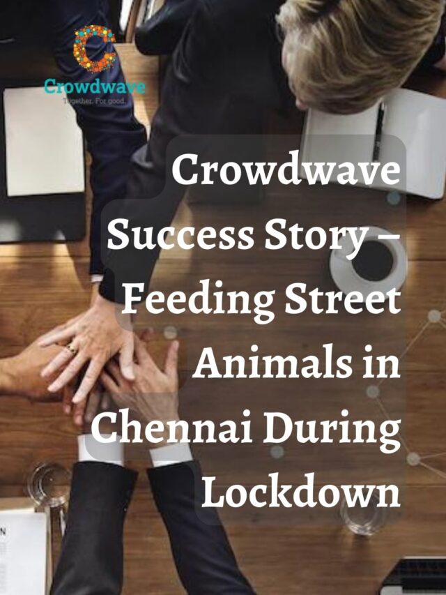 Crowdwave Success Story – Feeding Stray Animals in Chennai During Lockdown