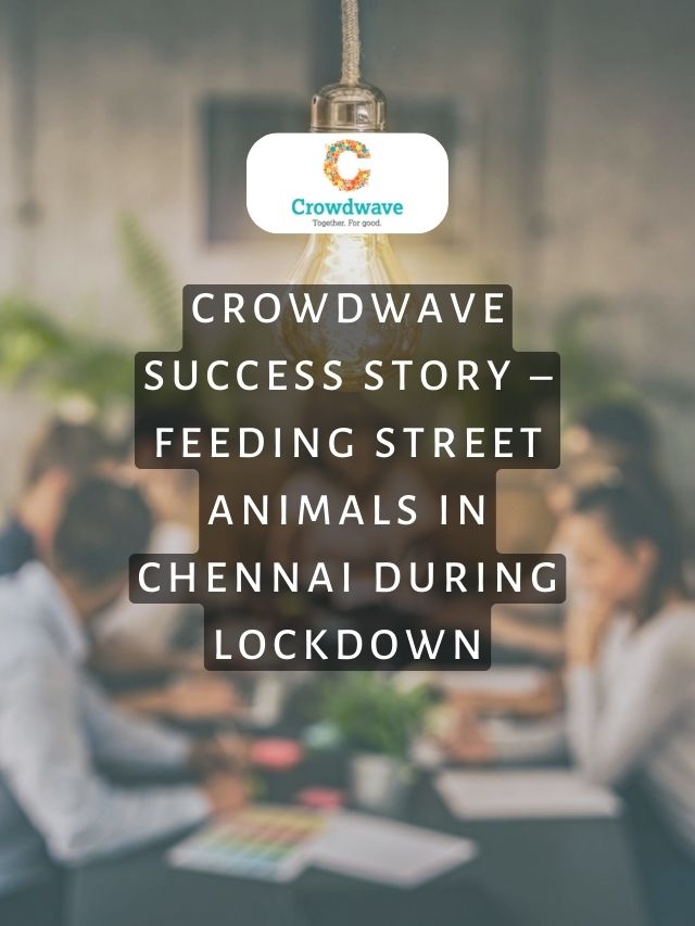 Crowdwave Success Story – Feeding Street Animals in Chennai During Lockdown